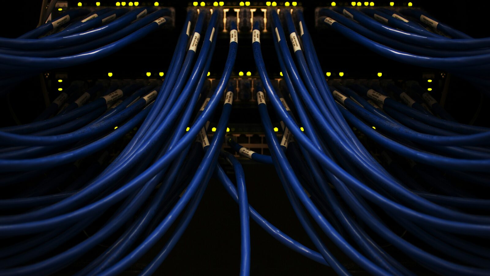 Network cables running into a data centre patch panel